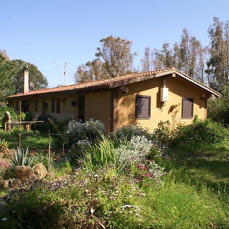Tharros B&B San Giovanni di Sinis Εξωτερικό φωτογραφία
